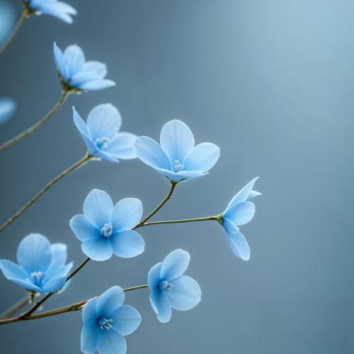  هرجا که میرم تو دل من مست تا که میشم