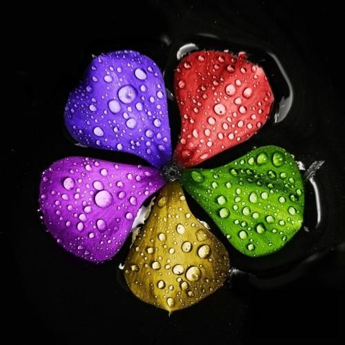 خودت میدونستی چقد دیوونتم بگو اونور دنیا