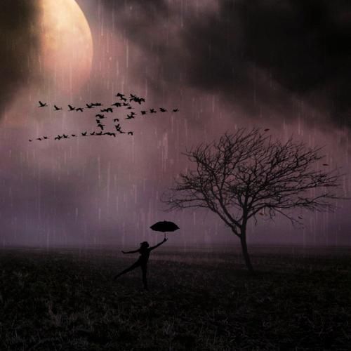 اعتماد به تو کردم کاش نمیکردم دلتو شکستم