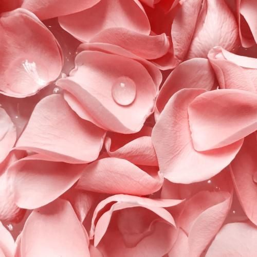  هیترامون شدن سر قدیس کریسپی کلی داف زدم