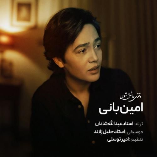 امین بانی وقتی عاشق شوی