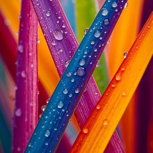  همه میشن اکس همه میخورن اکس