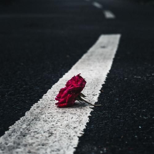  تو این دنیایی که سر تا تهش دو روز میشه