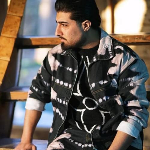 امیر لیام ذوق مکنی تا برات گل میگیرم