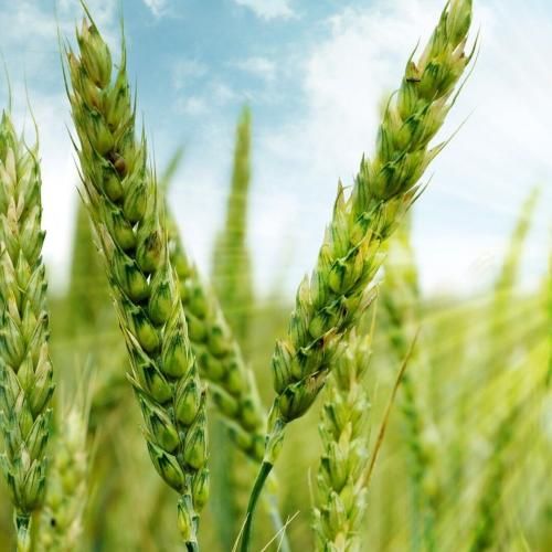 کسی منو درک نکرد مثلت نمیام بیرون هرشب