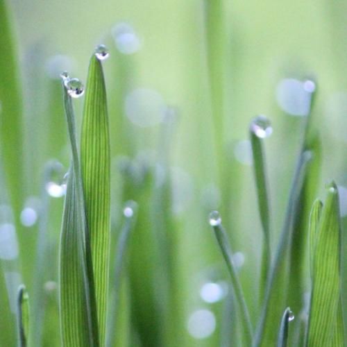  شاید نشه برگشت تو دلم کلی حرف هست