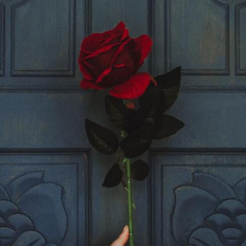 مهسا خسروانی یار تیه کالم