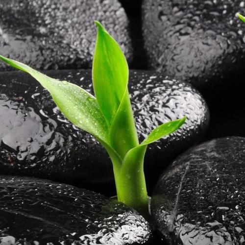 گفتم یه کاری کن لاو تنهام گذاشت بی وجدان