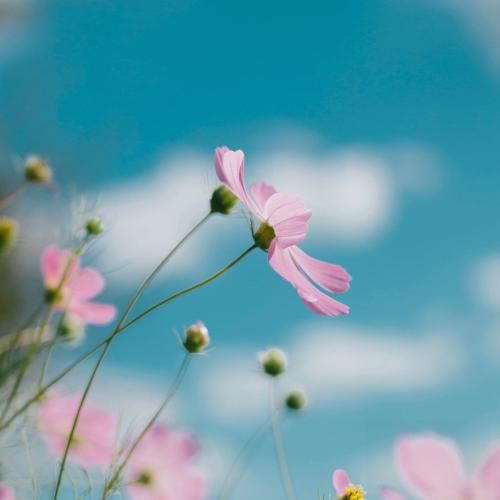 چرا تو وقتی میشینی پیش من همه چی اوکیه