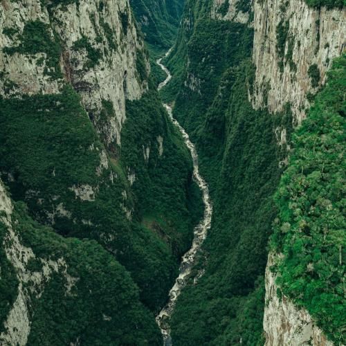  تنگ میشه دلت یه روزی دیگه نیستم کنارت (هوش مصنوعی)