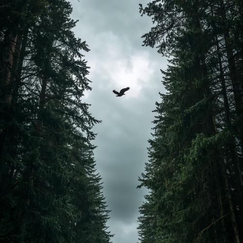 اگه این صدا یه روزی به گوشت رسید (میکس اینستا)